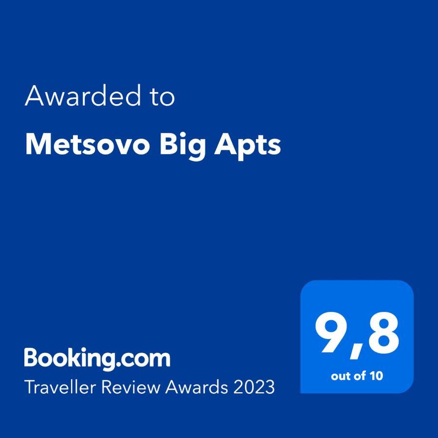 Apartment Metsovo Big Apts